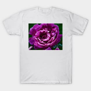 Bold Purple Rose Bloom T-Shirt